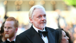 Prêmio para a primeira obra chechena em Cannes e para documentário sobre Assange