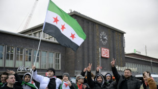 El retorno de sirios a su pa&iacute;s agravar&iacute;a ciertas carencias de mano de obra en Alemania