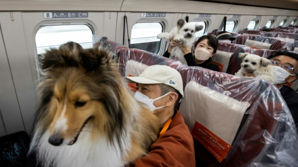 Sonderfahrt f&uuml;r Hunde in japanischem Hochgeschwindigkeitszug 
