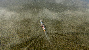 Much-needed rains revive Iraq's fabled Mesopotamian Marshes