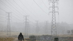 Afrique du Sud: rares chutes de neige &agrave; Johannesburg et dans certaines r&eacute;gions