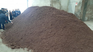 Elettricit&agrave; Futura apprezza emendamento a Dl Bollette su bioenergie