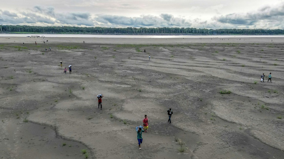 COP16: la conf&eacute;rence de l'ONU sur la d&eacute;sertification s'ouvre en Arabie saoudite 