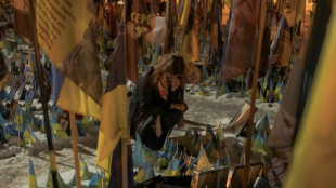 Ucrania acepta el acuerdo con EEUU para explotar recursos minerales, seg&uacute;n un funcionario ucraniano