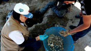 Ranch au Mexique: un centre d'entra&icirc;nement mais pas d'"extermination" (parquet)