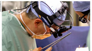 Record trapianti, 4.692 nel 2024 numero pi&ugrave; alto di sempre