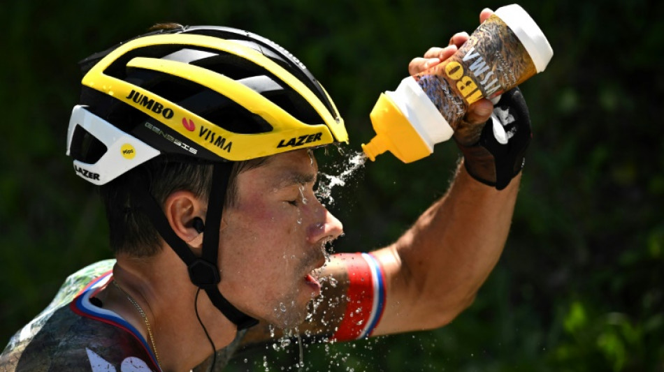 Tour de France: Roglic renonce avant la 15e &eacute;tape 