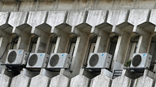 Indians buy 14 million ACs a year, and need many more