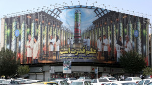 Irã afirma que seu programa nuclear não está sob restrições