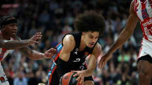 Basket: le Parisien Nadir Hifi &eacute;lu meilleur jeune joueur de l'Euroligue