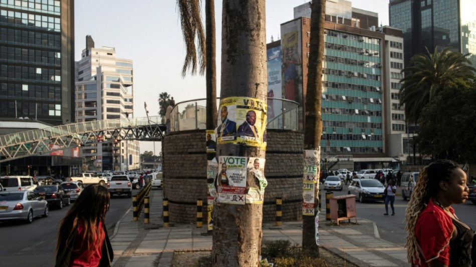 Zimbabwe to vote in uphill election for defiant opposition