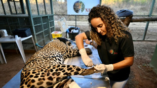 El desempleo cae a 6,2% en Brasil, su nivel m&aacute;s bajo desde 2012