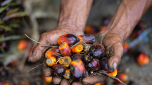 L'Indon&eacute;sie suspend toutes ses exportations d'huile de palme