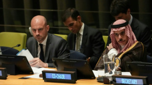 "Pas d'alternative" &agrave; la solution &agrave; deux Etats, isra&eacute;lien et palestinien 