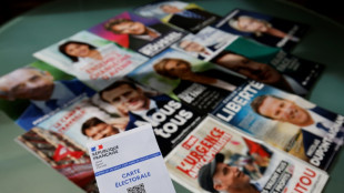 Pr&eacute;sidentielle J-2: derni&egrave;res heures d'une campagne hors normes