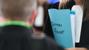 D&eacute;cision lundi dans le proc&egrave;s "Carton rouge" de vastes arnaques