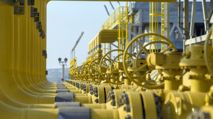 Il prezzo del gas chiude in aumento sopra i 34 euro ad Amsterdam