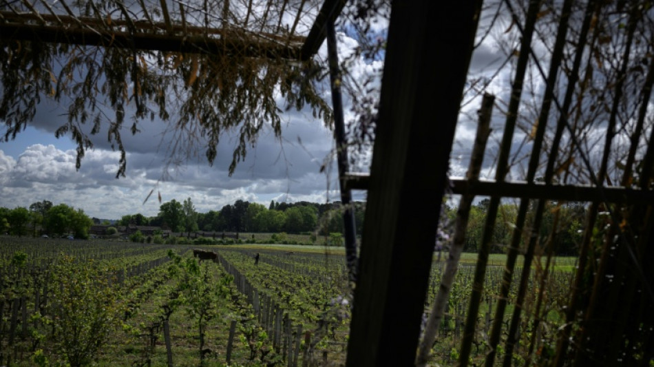 EU-Parlament beschlie&szlig;t neue Kennzeichnung f&uuml;r alkoholfreie Weine