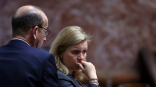 L&iacute;deres de Parlamento convocam 'grande marcha' contra antissemitismo na Fran&ccedil;a