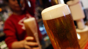 Birra, produzione pi&ugrave; rapida e sostenibile grazie a studio Cnr