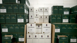 La UE presenta un paquete de medidas en respaldo al sector vin&iacute;cola