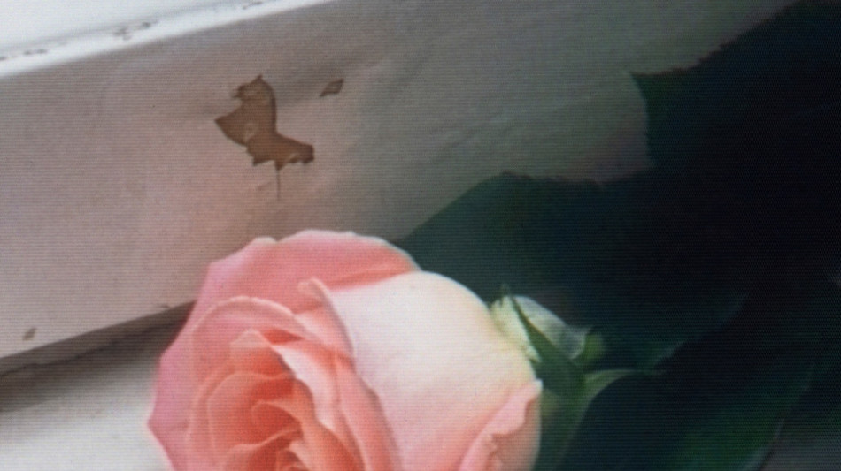 Planet Funk, il 16 gennaio il nuovo album di inediti Bloom