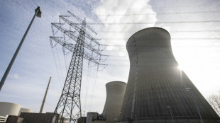 Allemagne: Scholz ouvre la porte &agrave; une prolongation des centrales nucl&eacute;aires