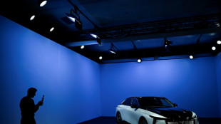 Automobile: l'UE envisage des "flexibilit&eacute;s" sur les amendes CO2