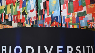 COP16 biodiversit&eacute;: sprint final &agrave; Rome pour un accord sur la finance pour la nature