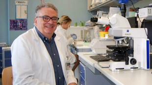 Policlinico Bari, farmaco vivente 'Car-T' cura mieloma multiplo