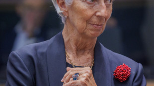 Lagarde, su euro digitale passi avanti, spero presto