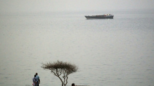 Asian countries most vulnerable to Strait of Hormuz blockade