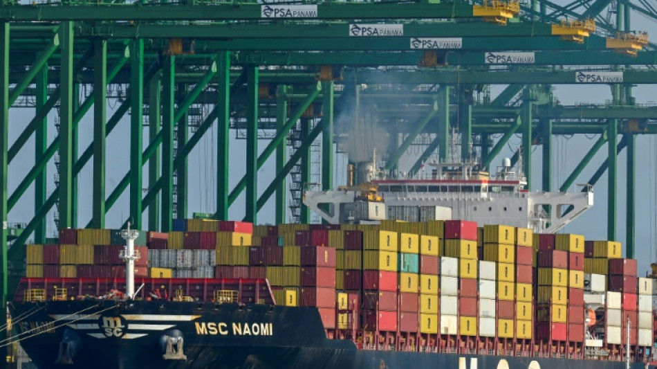 Empresa china moviliz&oacute; 39% de los contenedores en puertos paname&ntilde;os en 2024