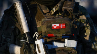 As Greenland storm passes, US allies focus on stepping up in NATO
