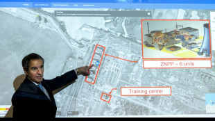 IAEA-Chef zu Gespr&auml;chen &uuml;ber nukleare Sicherheit in der Ukraine eingetroffen