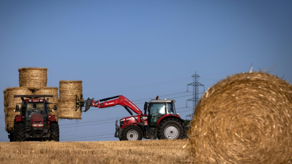 El PIB del cuarto trimestre de 2022 cerr&oacute; estable en la eurozona