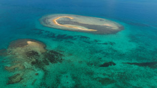 Studie: Klimawandel f&uuml;hrte 2022 zu Temperaturrekord in Weltmeeren