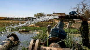 Palestinian water woes highlight dashed hopes of Oslo Accords
