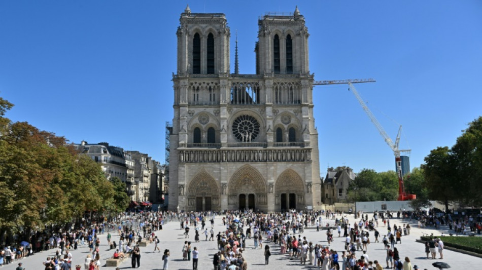 Retour dans les tours de Notre-Dame