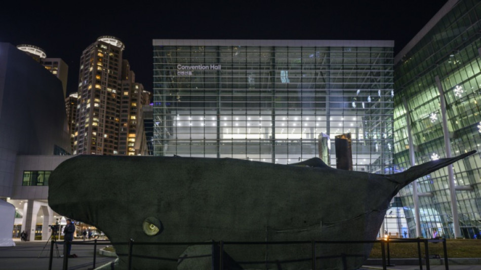 Negociadores contra la contaminaci&oacute;n por pl&aacute;stico piden m&aacute;s tiempo para lograr un acuerdo