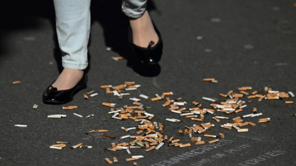 Le tabagisme reste stable en France, avec pr&egrave;s d'un tiers de fumeurs