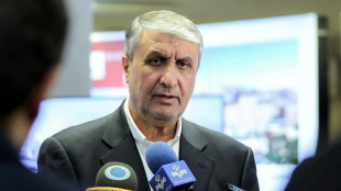 Nucl&eacute;aire: l'Iran pourrait autoriser des inspecteurs, Trump met en garde Netanyahu