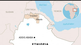 Police beat, arrest opposition supporters in Ethiopia's Tigray