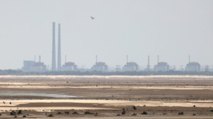 IAEA: Drohne rei&szlig;t Loch in Maschinenraum des Akw Saporischschja in der Ukraine