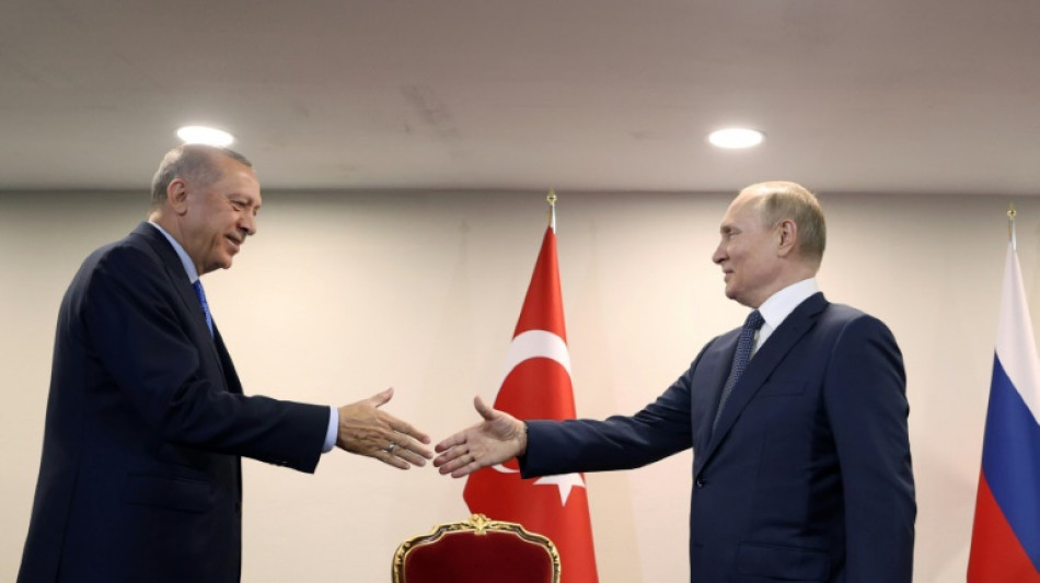 Erdogan takes grain diplomacy to Putin in Sochi