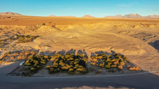 Soleil, aridit&eacute;, altitude... le d&eacute;sert d'Atacama dans un verre de vin