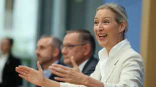 AfD-Chefin Weidel fordert Neuwahlen im Bund