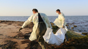 Quase 800 migrantes morreram afogados na Tun&iacute;sia em seis meses