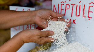 Ok dell'Eurocamera a soglia di salvaguardia per import del riso al 45%