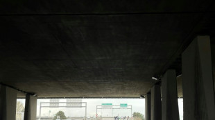 Las huelgas siguen afectando el transporte a&eacute;reo y ferroviario en Francia